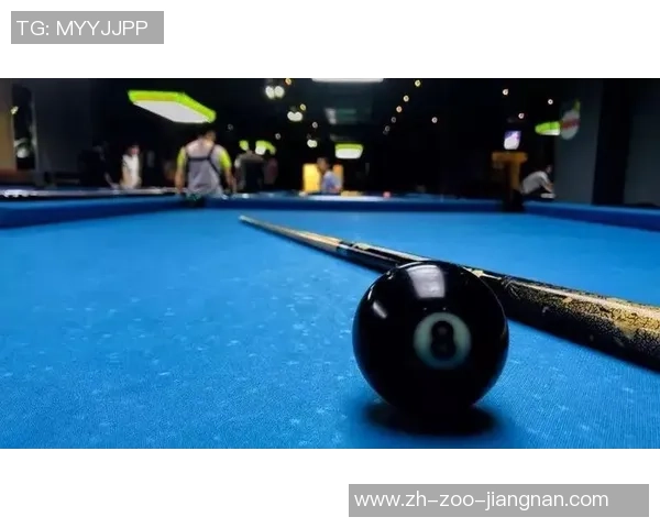 精彩章鱼足球比赛直播全程回顾与精彩瞬间分享