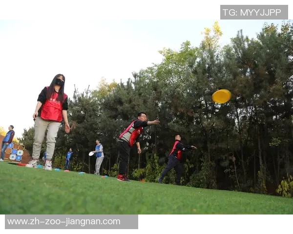 飞盘追梦:南京飞盘队的拼搏与成长之路纪实 飞盘追梦:南京飞盘队的拼搏与成长之路纪实